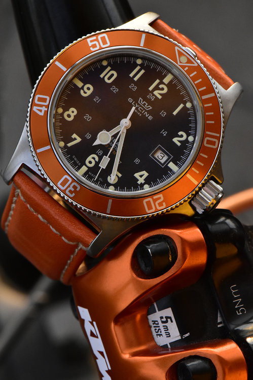 glycine4.jpg