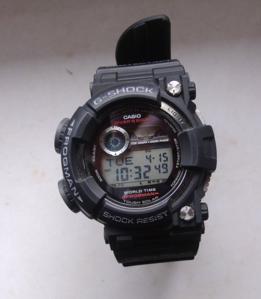 Gor81Rm.jpg