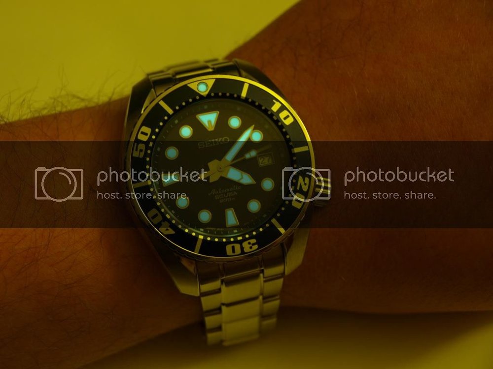 PB276487_zpsc72fe915.jpg