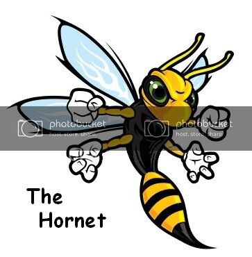 hornet.jpg
