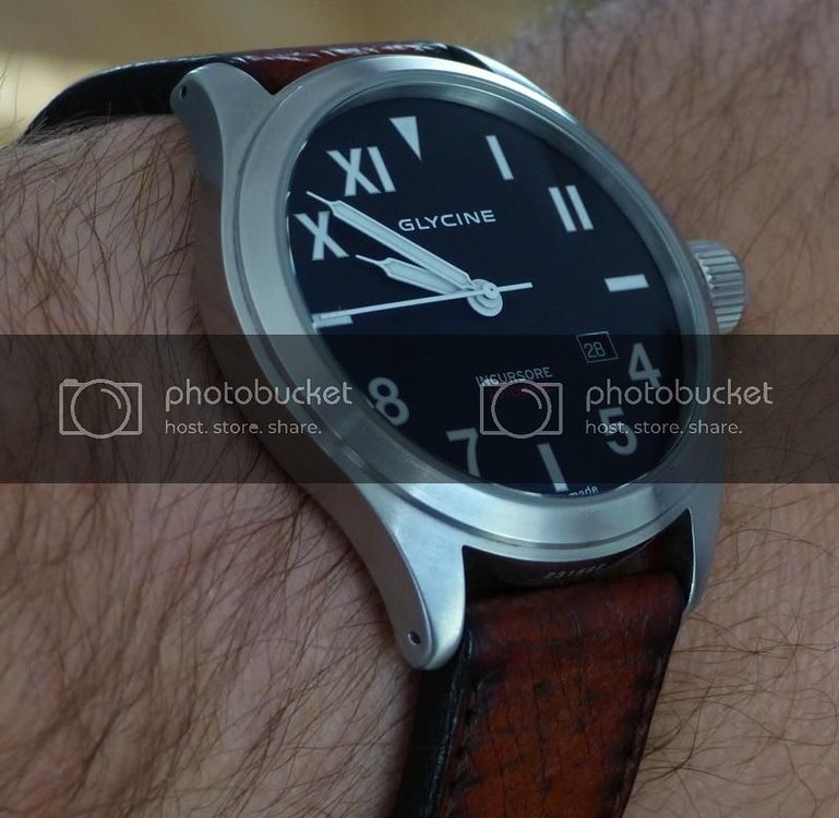 P1020375_zps3c1aa387.jpg