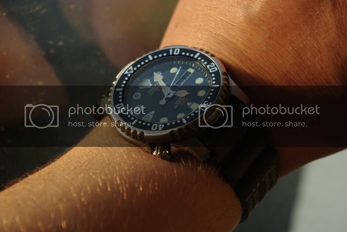 IMGP8480_zps71070533.jpg
