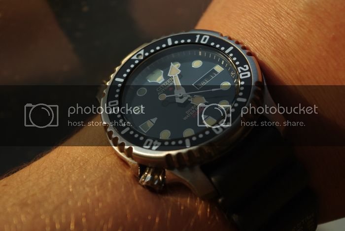 IMGP8481_zps933d6228.jpg