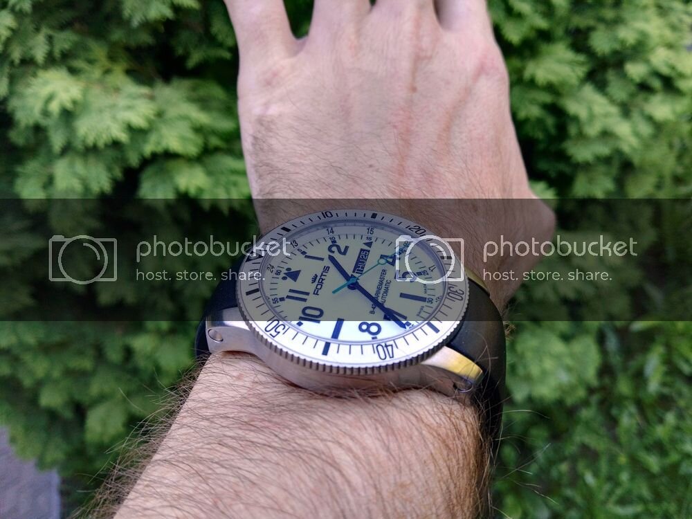 IMG_20160825_133637_zpspqfwmzah.jpg