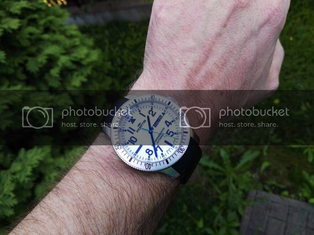 IMG_20160825_133744_zps187drzqn.jpg