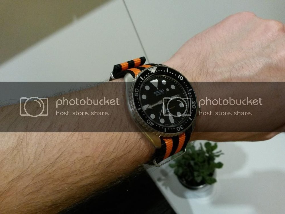 20141114_184419_zps8la21fso.jpg