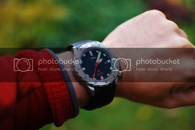 DSC_0342zm_zpsta8gvdo7.jpg