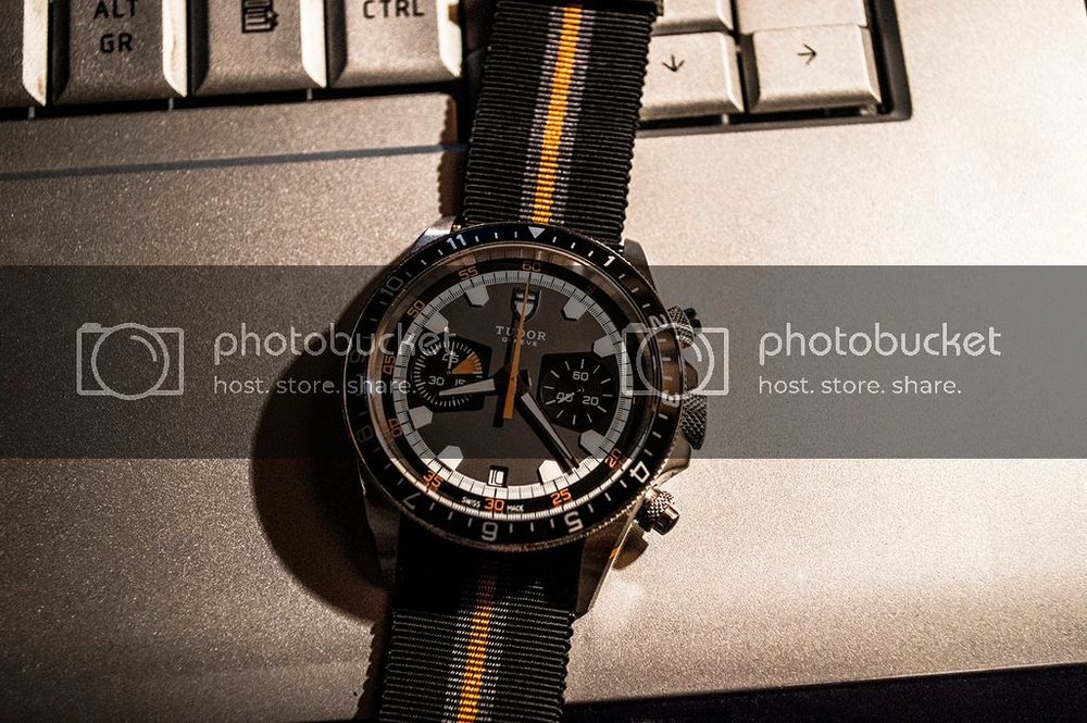tudor10.jpg