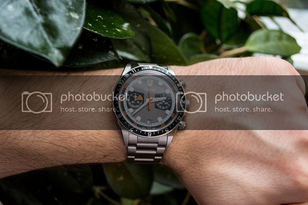 tudor11.jpg