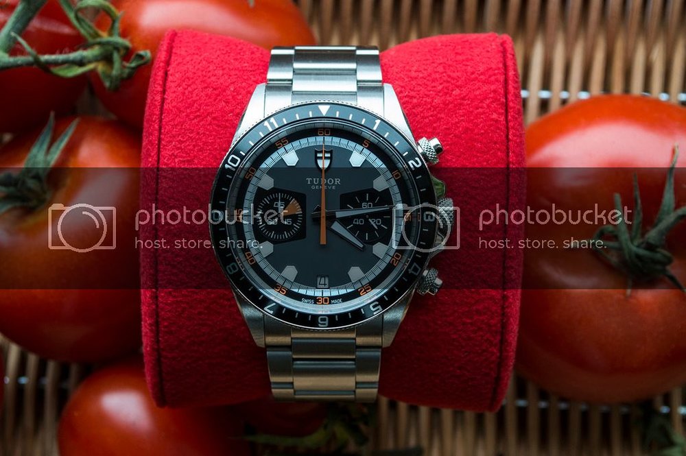tudor12.jpg