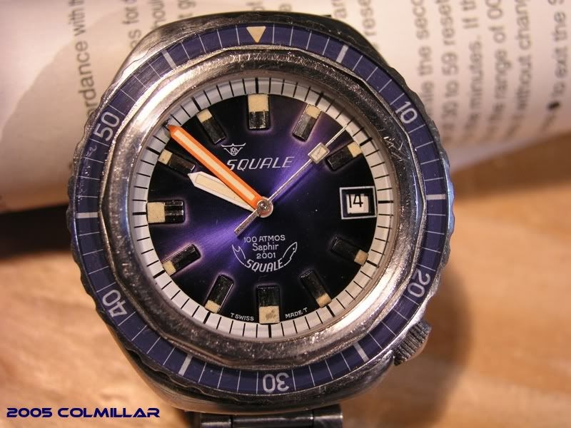 BlueSquale8.jpg