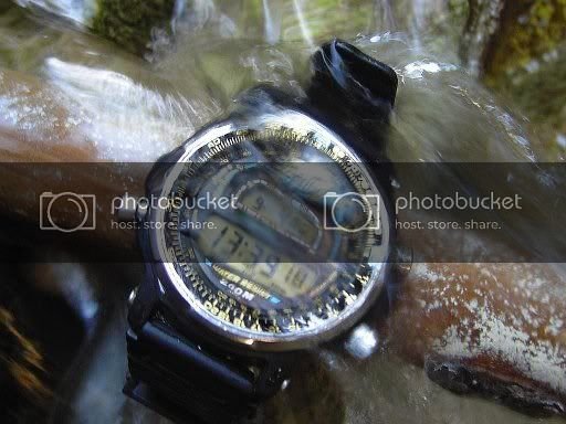 Casio_DW-401.jpg