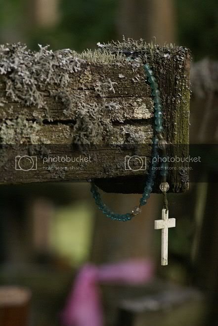 podlasie9.jpg