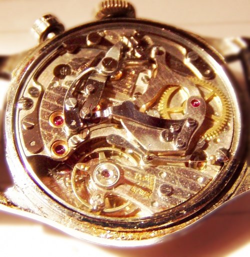 a960b03db69ab64fmed.jpg