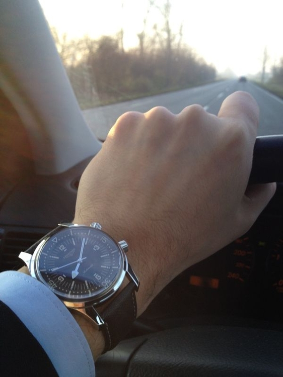 img4338y.jpg