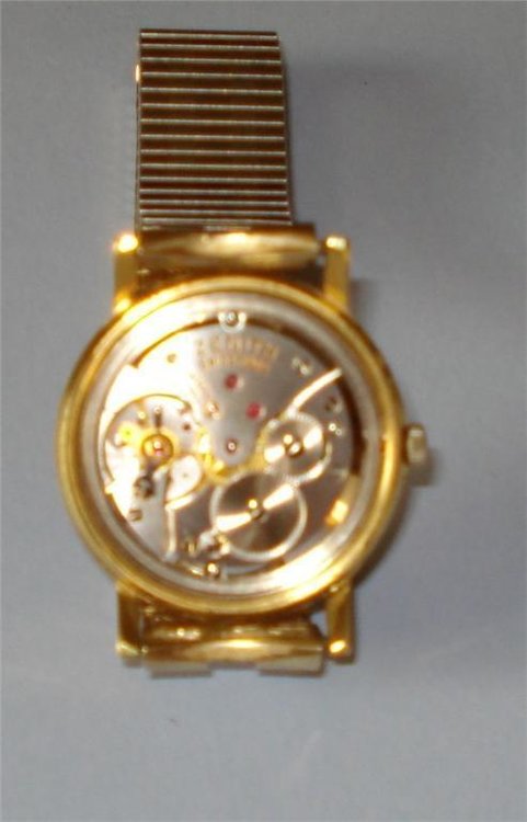 48825187.jpg