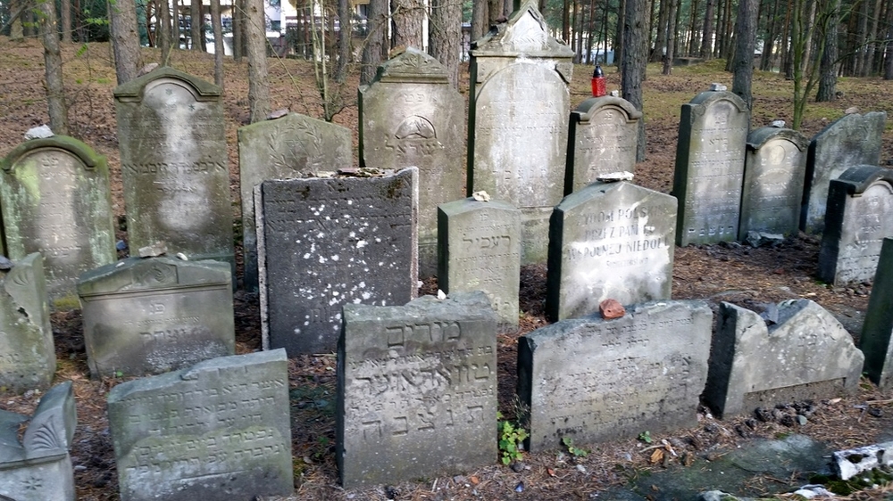 20151114_120638.jpg
