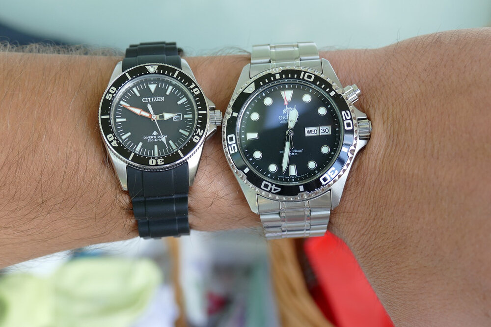 P1060593.jpg