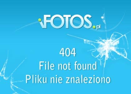 201603151_swwhppa.jpg