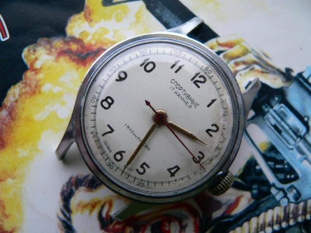 4242691603.jpg