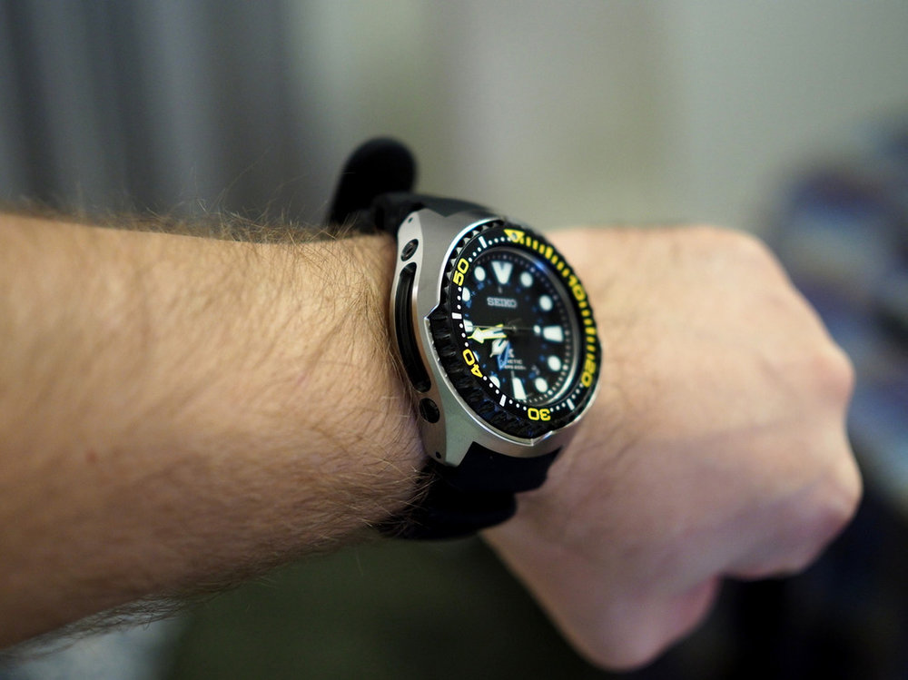 PA230300.jpg