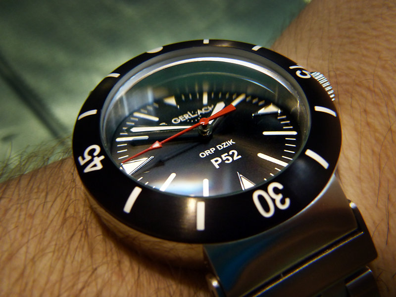dzik24012012basen3.jpg