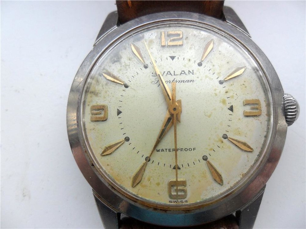 184455318_aa9d3d75-0cf7-4a93-b06f-ee8b84