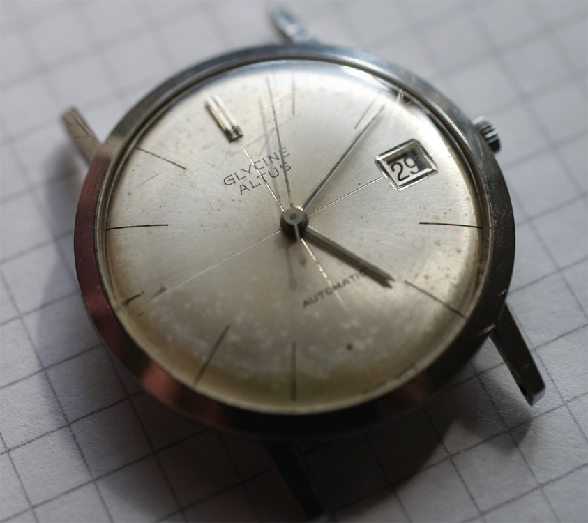 glycine_altus_vintage1.jpg