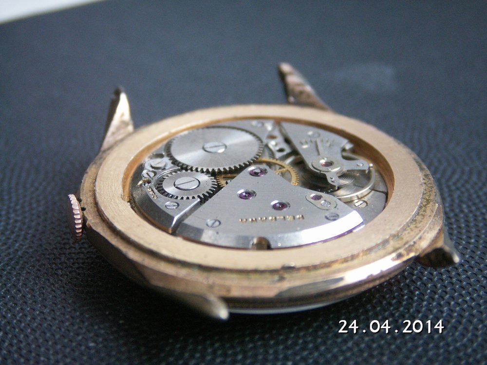 PICT0010.jpg