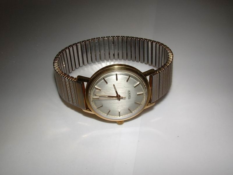 roamer%20prz%C3%B3d%20z%20branz.JPG