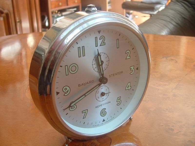 stentor%20p1.JPG