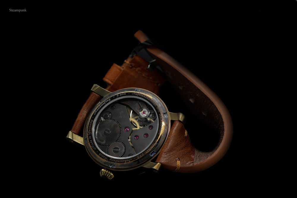 steampunk-back-schaumburgwatch.jpg
