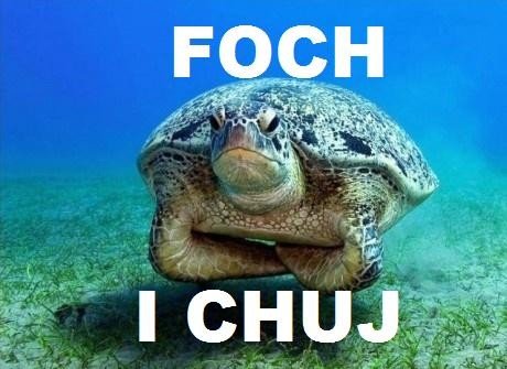 210433481500FochIChuj1424431991.jpg