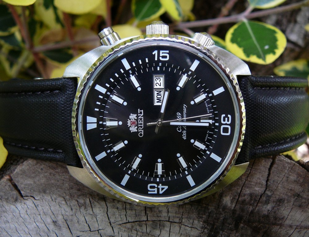 Orient%20King%20Diver%20brady%20tree%2023-01-2012%201.jpg