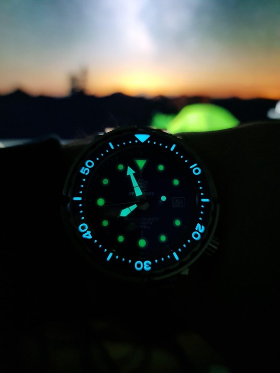 SdWTiGXh.jpg