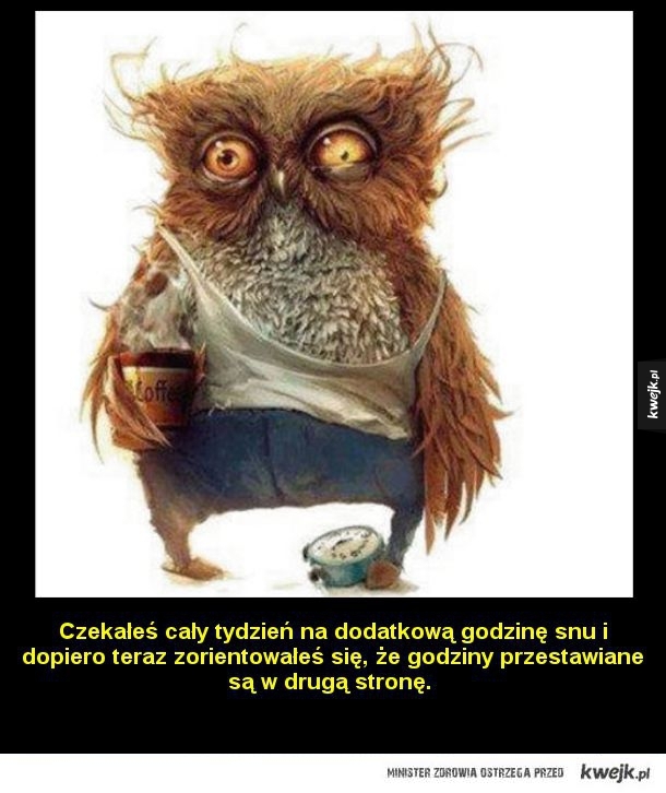 Rzeczy, które przytrafiają się po zmianie czasu na letni - Galeria -  KWEJK.pl