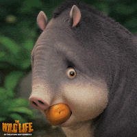 the wild life what GIF by Lionsgate