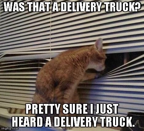 7 Memes That Are All Too Real For Those Of Us Who Really Hate Waiting | MIX