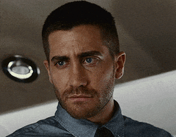 Jake Gyllenhaal No GIF