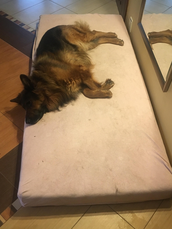 56bc1696489160b384e440157765d799.jpg&key=b112f60eeea61d8323d7fdbc0b332c9c7abd4a17a1df6fd2587b2ebcd60c1469