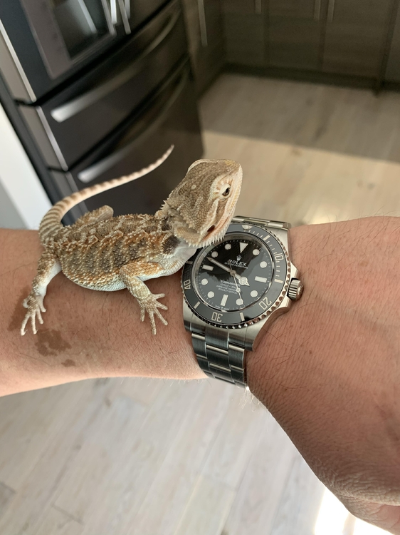 3d7669f2f501759bda66f5b71c283165.jpg&key=b71fea274684010f46a240fc543447da55e6ee85e68bc27b1dd1a713be0d02c5