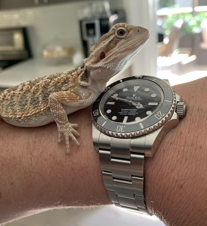 9494fbcc87484fb853ab95ee96fab4c0.jpg&key=3ecaa21546eacb2a0e1085bef7d11f968c46746bbee7fee1fdae0d739b219fe7