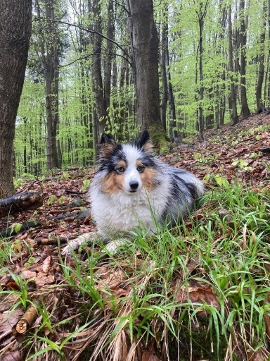 6c563c90bb3131a3bf7e1acc64646583.jpg&key=c459cf50c53d271895d3c8ded0216fda7bff8c2e3d3abb9e3453c1dc48ec5866