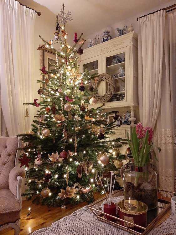 7b08c2e59e57de340db1672d3604447e.jpg&key=ee0f77696f9782d4d3431367bebd4b6a79088a45b0b316f1c5f1bec58b56a407