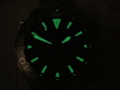 Seamaster white gold.JPG