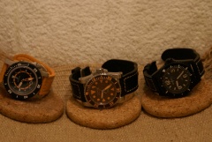 Steinhart vs. Helson - Benarus.JPG