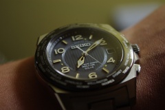 Seiko Brightz SAGZ013