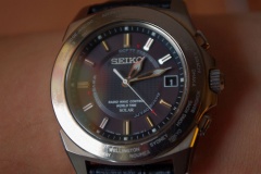 Seiko Brightz SAGZ015