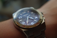 Seiko Brightz
