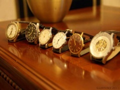 DSC05825 [800x600].JPG